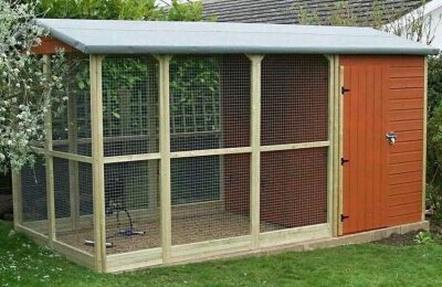 Aviaries for Birds Keeping: Finding the Best Habitat