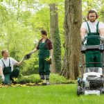 The Benefits Of Hiring A Lawn Care Service
